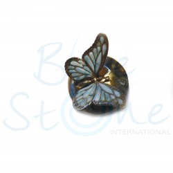 Papillon laiton et Larimar BUTER-01L